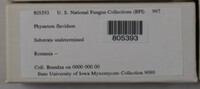 Image Associated With the Occurence